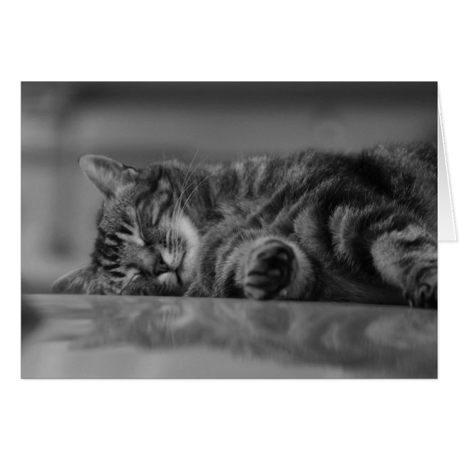 Comer See - 3 B&W (Vorderseite (Horizontal))