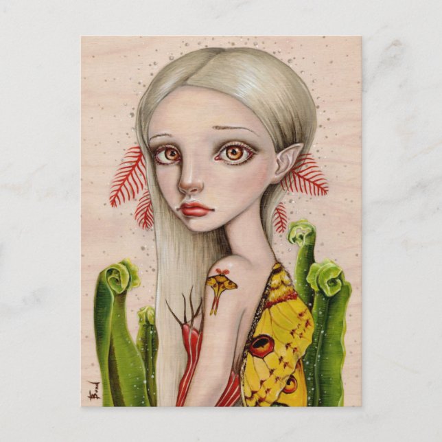 Comet Moth Postkarte (Vorderseite)