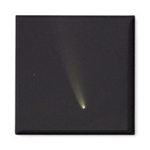 Comet NEOWISE in Night Sky