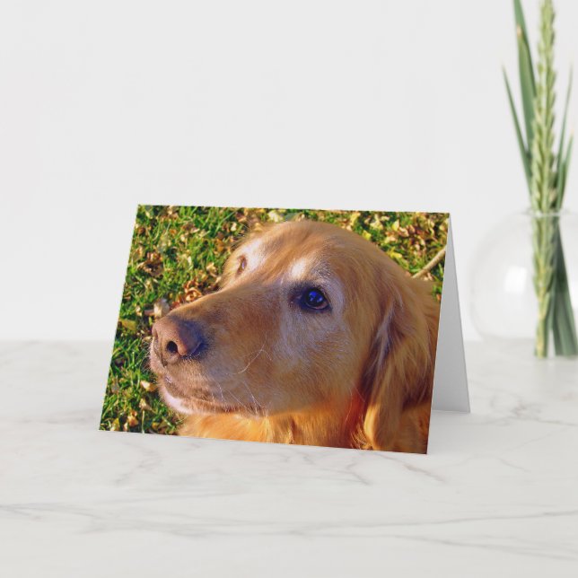 Comet, setz dich, bleibe Guten Jungen! Karte (Vorderseite)