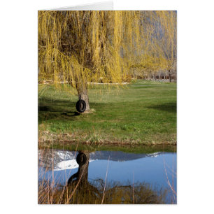 Comfort-Karte für den Spring Pond