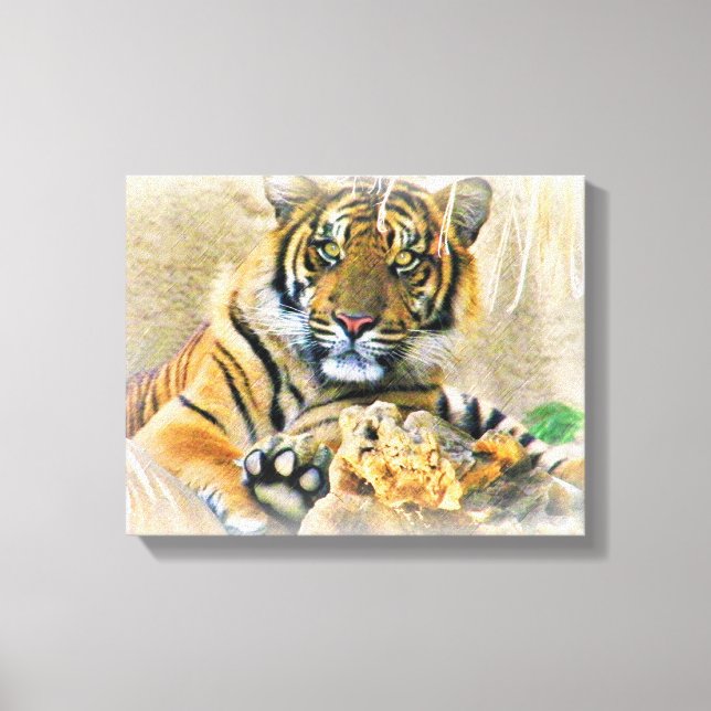 Comfort Zone_ Leinwanddruck (Vorderseite)