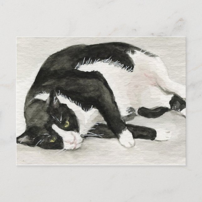"Comfortable Tuxedo Cat" Art Postkarten (Vorderseite)