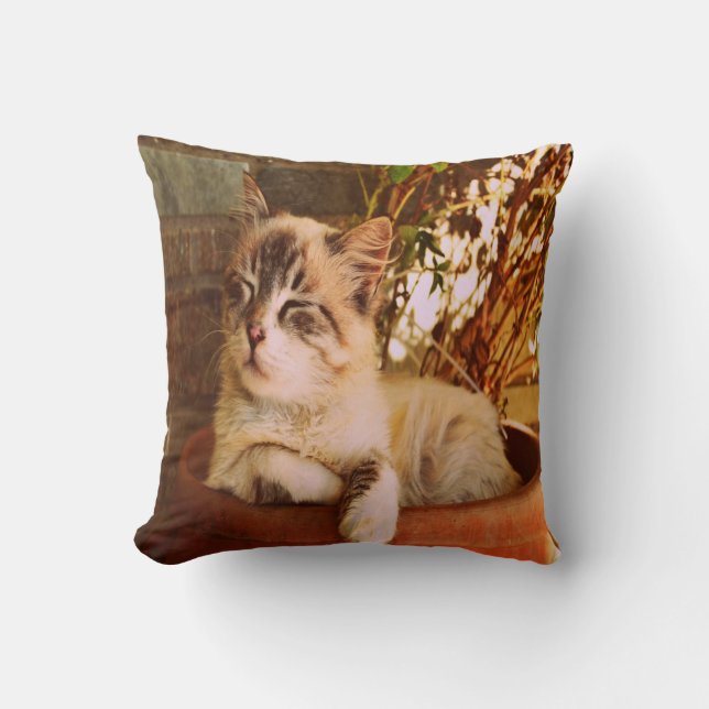 Comfy Sleepy Kitty Kissen (Vorderseite)