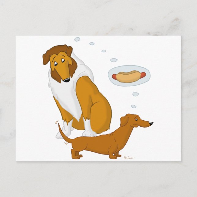 Comical Collie und Dackel Postkarte (Vorderseite)