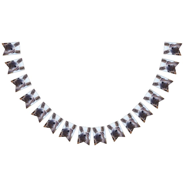 Comical Gray Smiling Donkey Wimpelkette (Alle)