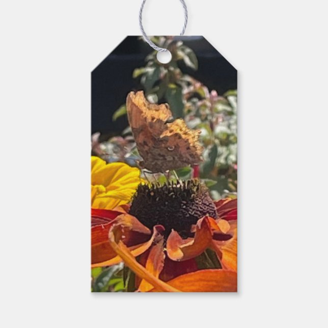 Comma Butterfly auf einer Rudbeckia-Blume Geschenkanhänger (Vorderseite)