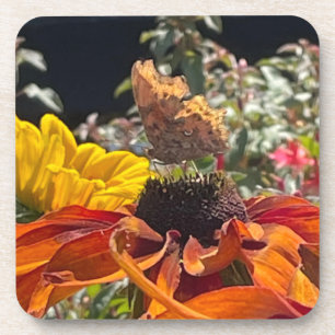 Comma Butterfly auf einer Rudbeckia-Blume Getränkeuntersetzer