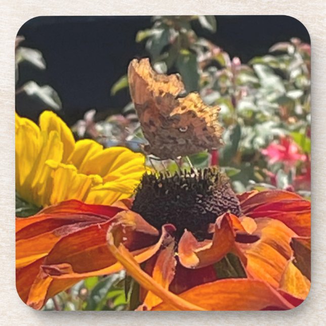 Comma Butterfly auf einer Rudbeckia-Blume Getränkeuntersetzer (Vorderseite)