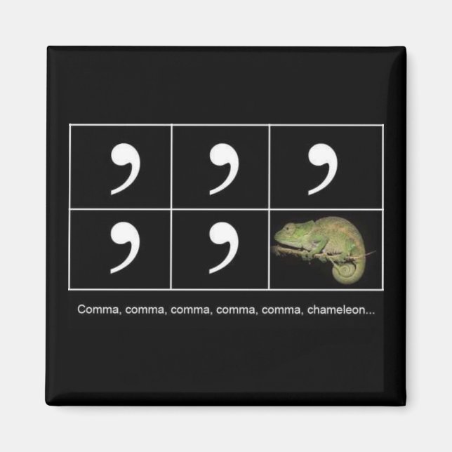 Comma Magnet Chameleon (Devant)