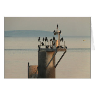 Commande de vérification