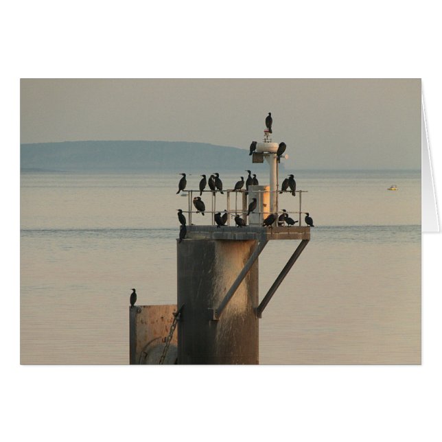 Commande de vérification (Devant horizontal)