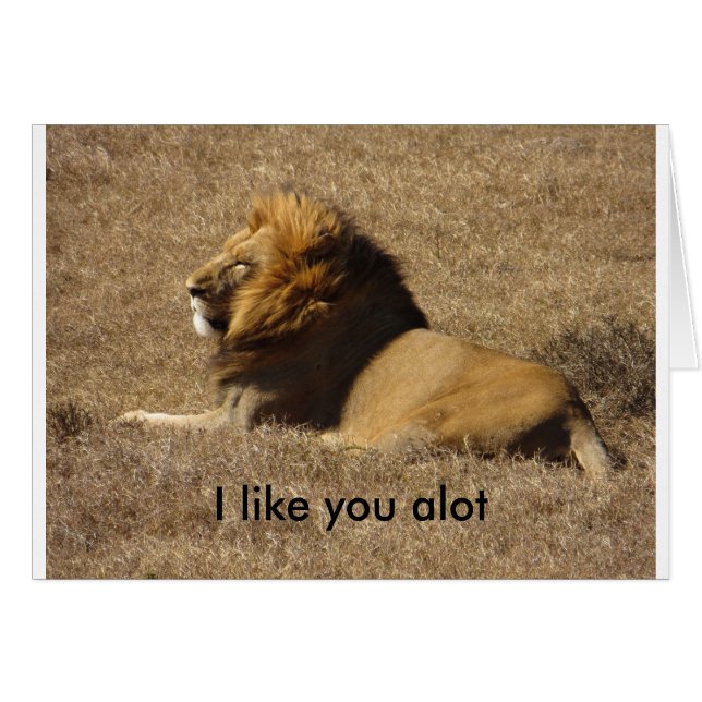 Comme Vous Beaucoup (Devant horizontal)