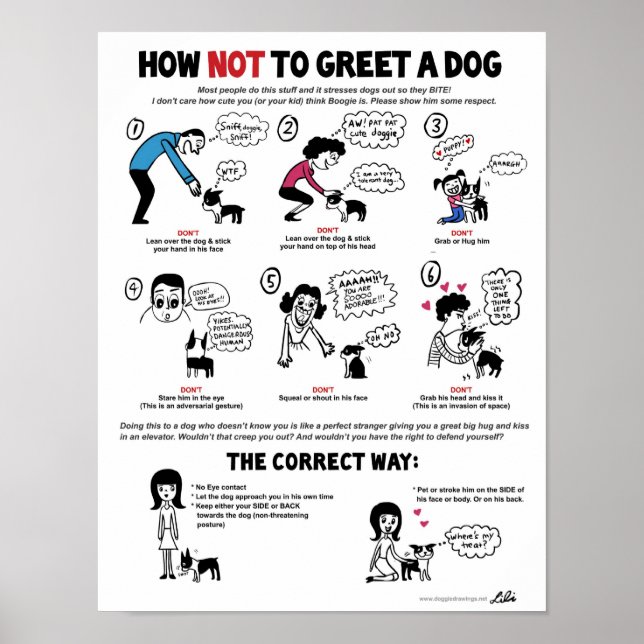 Comment accueillir un poster de chien (11 x 14") - (Devant)