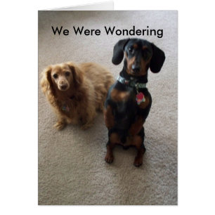 Comment allez-vous ?