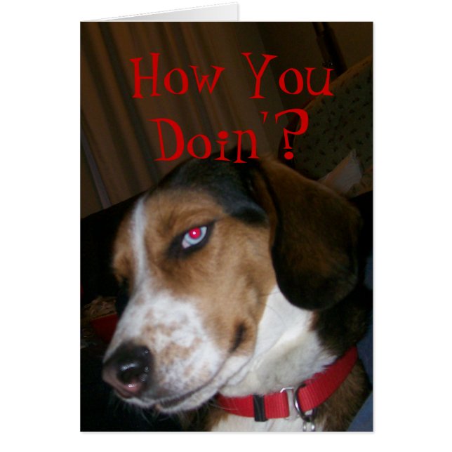 Comment Ça Va ? (Devant)