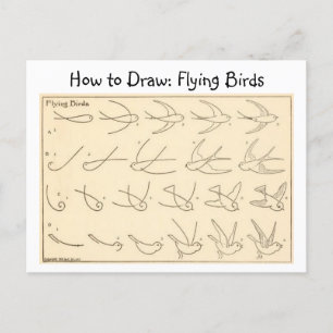 Comment dessiner les oiseaux volants Carte postale