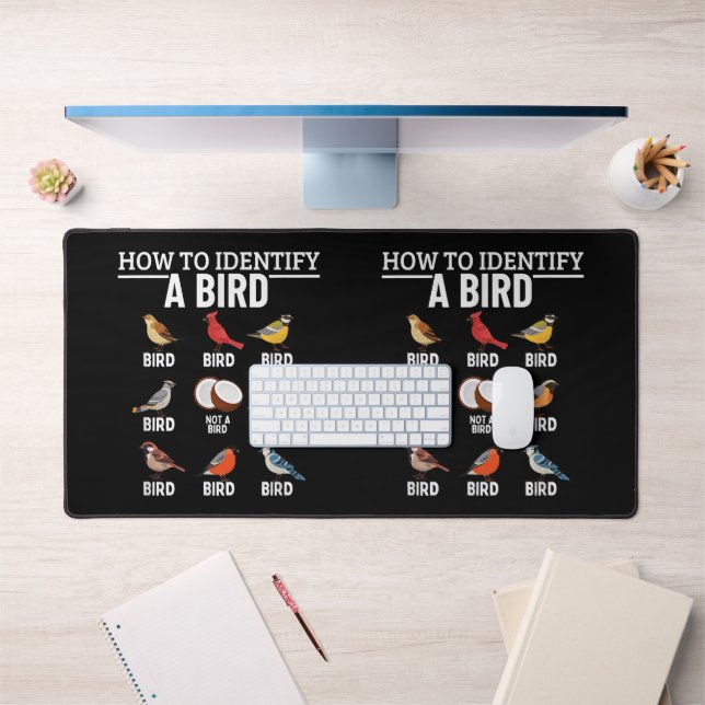 Comment Identifier Un Oiseau Drôle À Observer (Bureau 1)