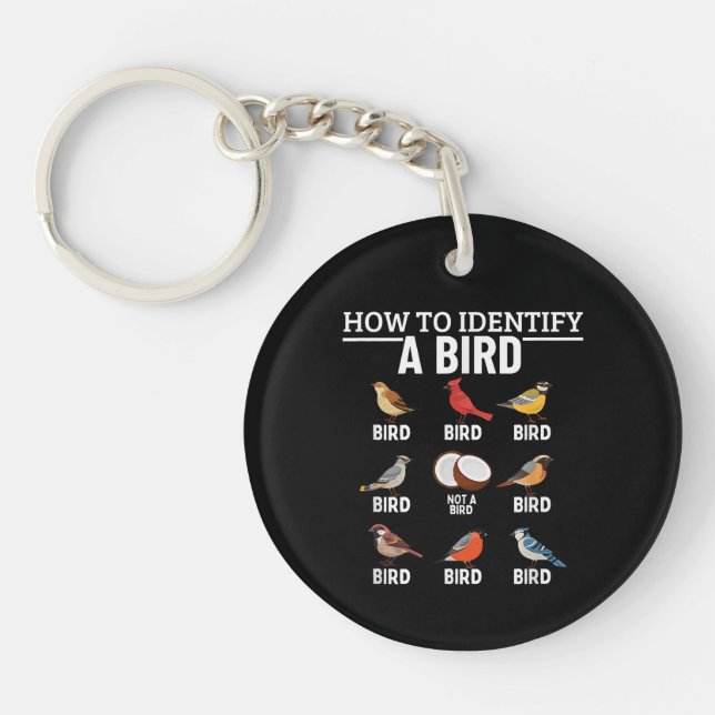 Comment identifier un oiseau Observation drôle d'o (Devant)