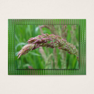 Comment l'herbe grandit Signet