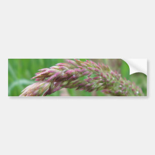 Comment l'herbe pousse Sticker pare-chocs