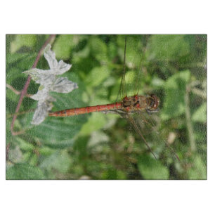 Common Darter Dragonfly Cutting Board Schneidebrett