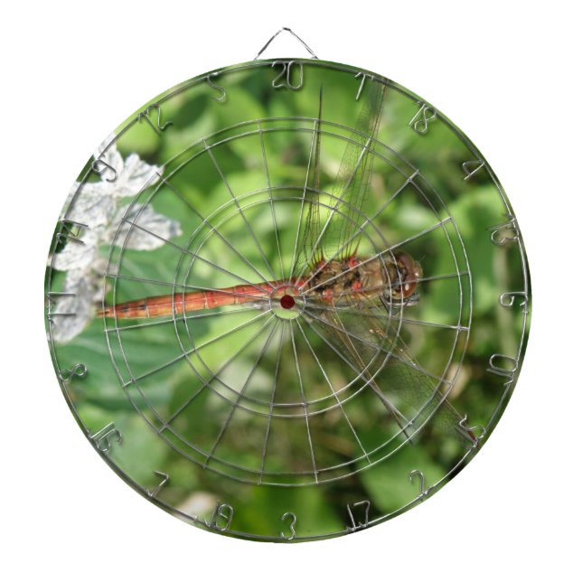 Common Darter Dragonfly Dart Board Dartscheibe (vorne)