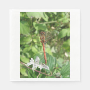 Common Darter Dragonfly Napkins Serviette