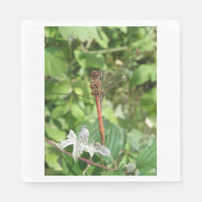 Common Darter Dragonfly Napkins Serviette (Vorderseite)