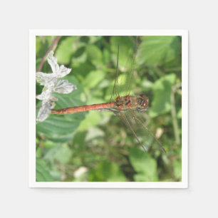 Common Darter Dragonfly Napkins Serviette