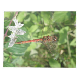 Common Darter Dragonfly Notepad Notizblock