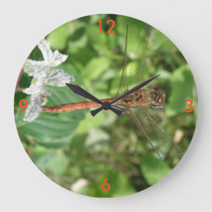 Common Darter Dragonfly Wall Clock Große Wanduhr