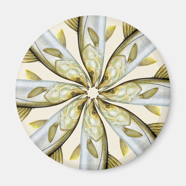 Common Snook Magnet (Vorne)