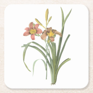 Common Taglilie (Hemerocallis fulva) von Redouté Rechteckiger Pappuntersetzer
