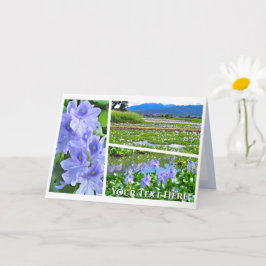Common Water Hyacinth Karte