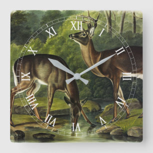 Common (White-tailed) Deer - Audubon's Quadrupeds Quadratische Wanduhr
