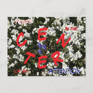 Common Yarrow & Trauben-Hyazinth-Postkarte Feiertagspostkarte