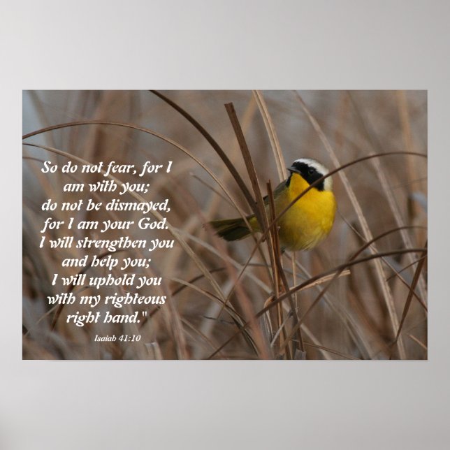 Common Yellowthroat Bird Isaiah 41:10 Print Poster (Vorne)