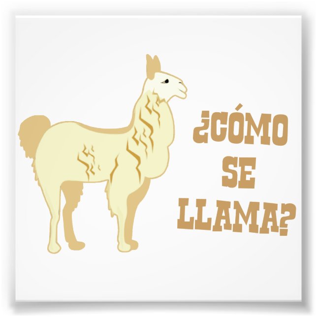 Como Se Llama? Wie heißt du? Fotodruck (Vorne)