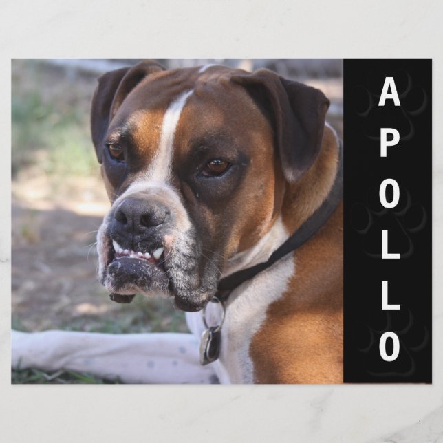 Comp-Card-Headshot Flyer (Vorne)