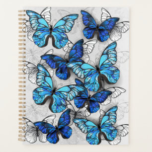 Composition des papillons blancs et bleus
