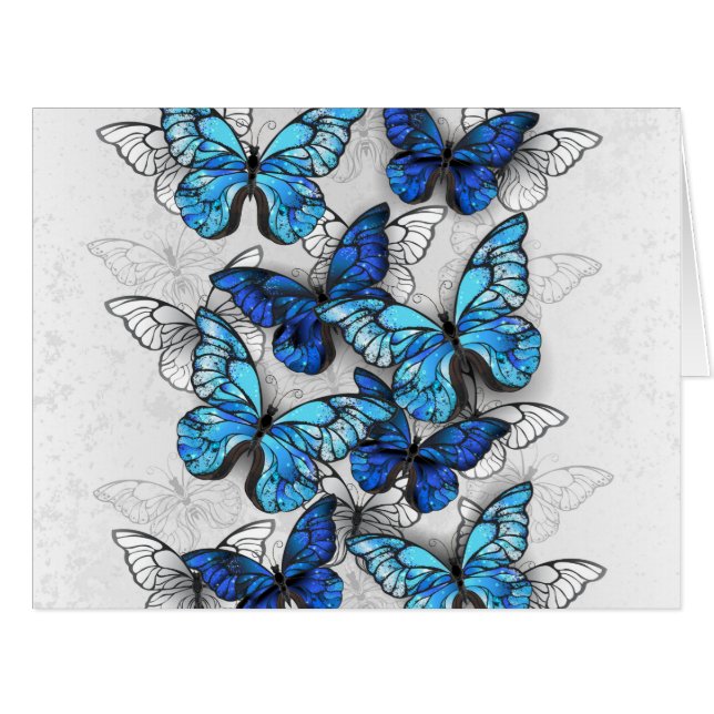 Composition des White and Blue Butterflies (Devant horizontal)