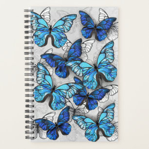 Composition des White and Blue Butterflies
