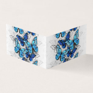 Composition des White and Blue Butterflies