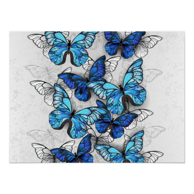 Composition of White and Blue Butterflies Poster (Vorderseite)