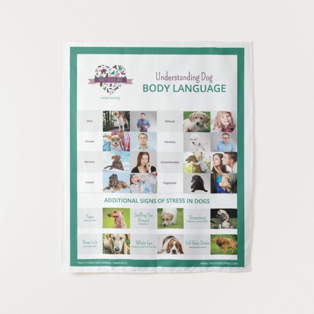 Comprendre la tapisserie du langage du corps de ch (Devant)