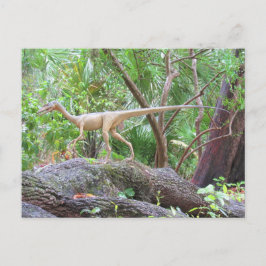 Compsognathus - Dinosaur - Lernkarte Postkarte