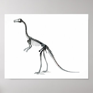 Compsognathus-Skelett Poster