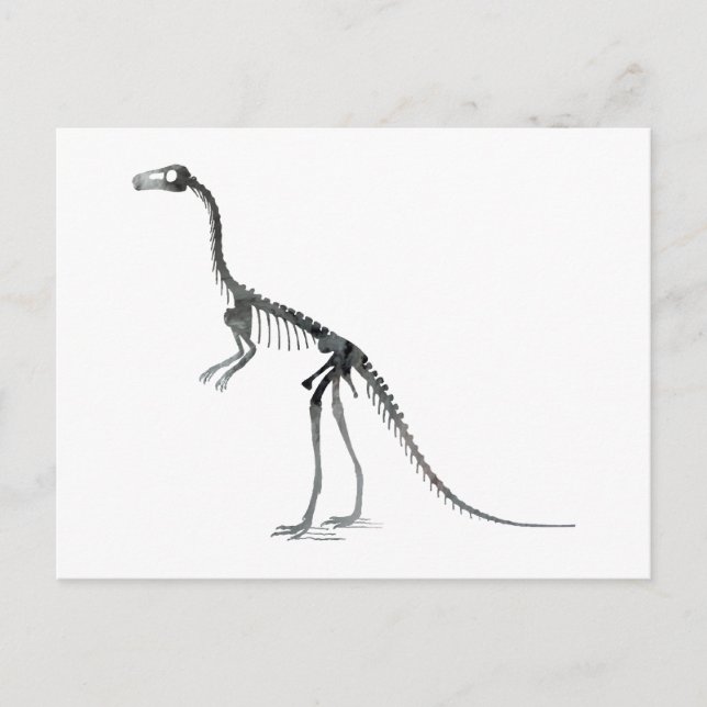 Compsognathus-Skelett Postkarte (Vorderseite)