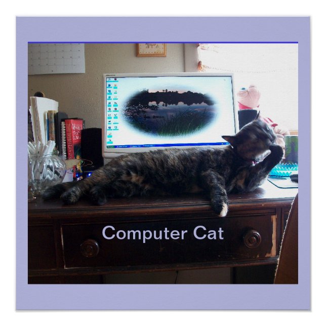 Computer Katze Poster (Vorderseite)
